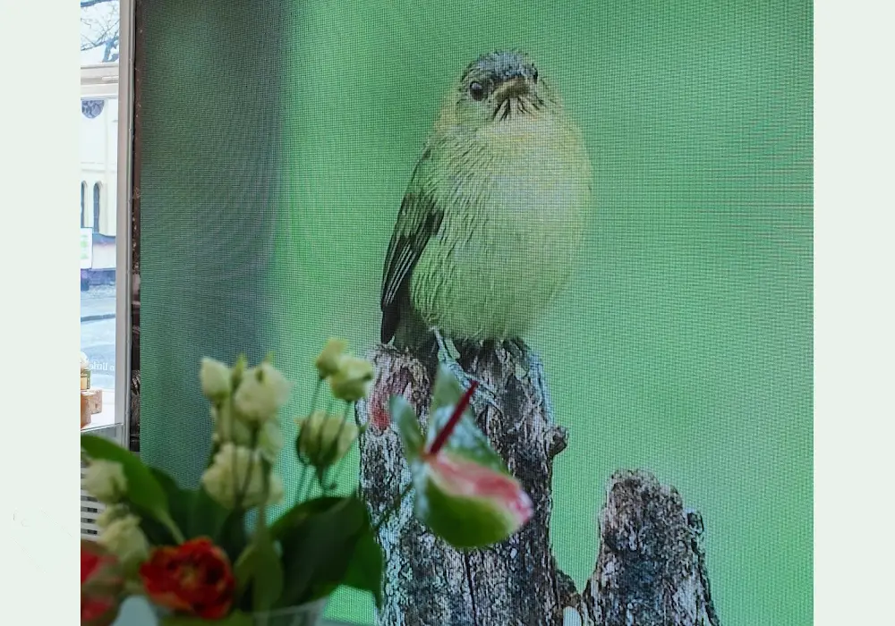 Bild på Green Little Heart