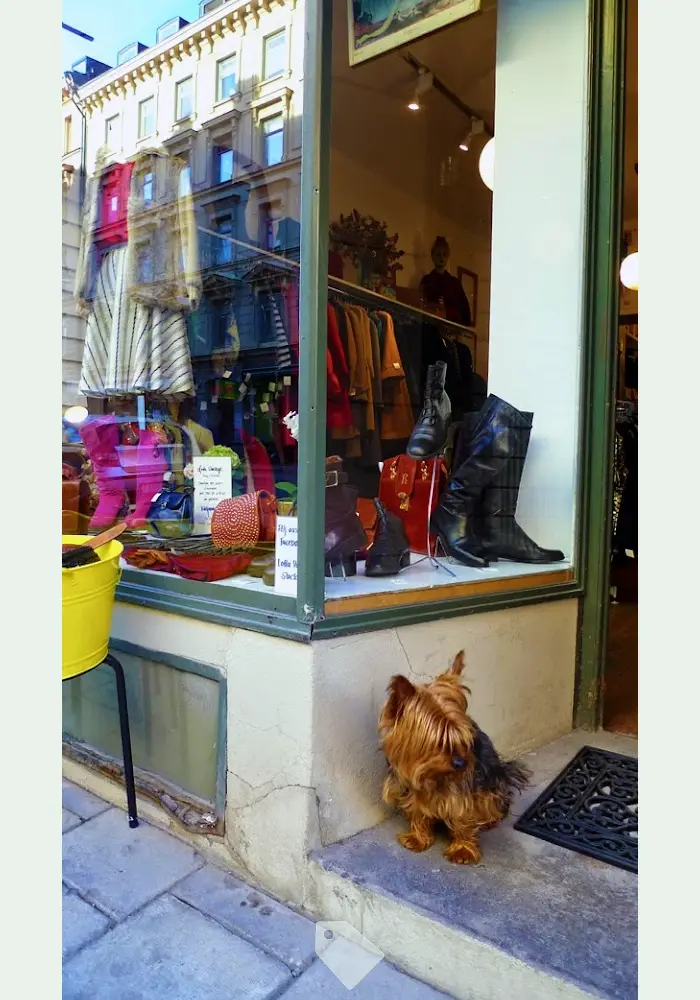 Bild på Lotta Vintage Stockholm